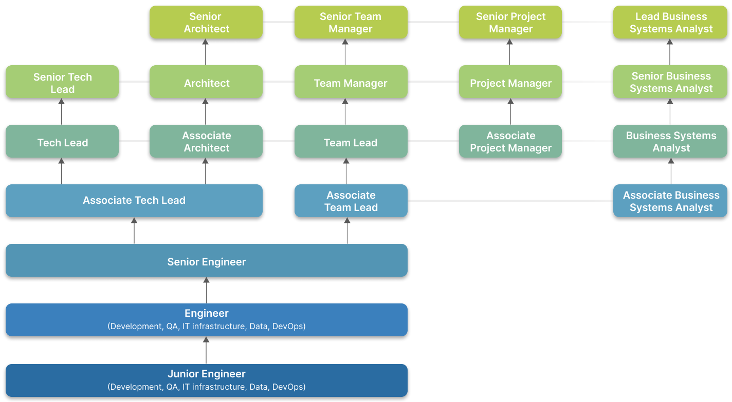 Career Paths in Software Development - Creative Capsule